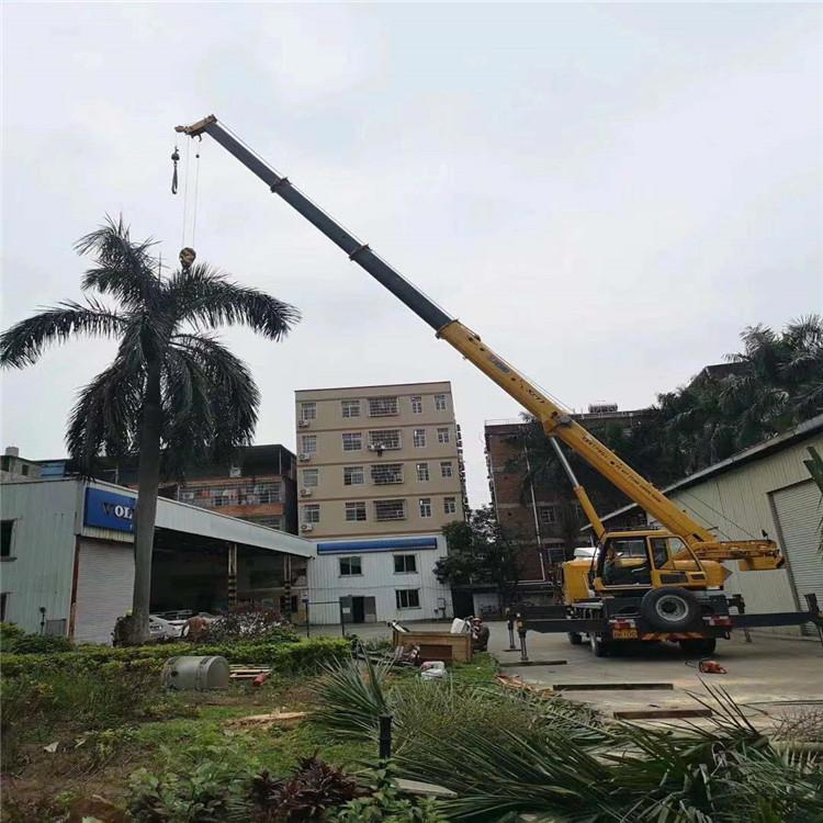 福绵树木移栽装卸